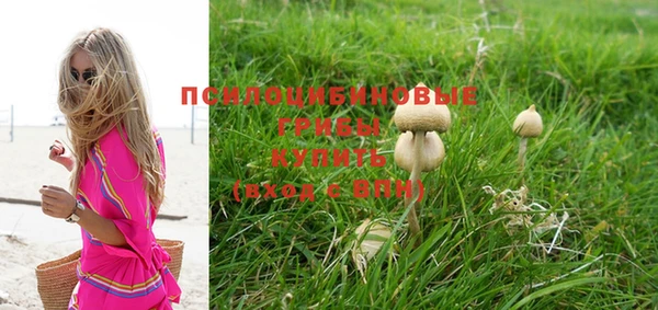 ГАЛЛЮЦИНОГЕННЫЕ ГРИБЫ Белоозёрский