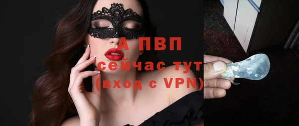 ГАЛЛЮЦИНОГЕННЫЕ ГРИБЫ Белоозёрский