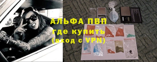 ГАЛЛЮЦИНОГЕННЫЕ ГРИБЫ Белоозёрский