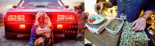ГАЛЛЮЦИНОГЕННЫЕ ГРИБЫ Белоозёрский